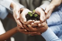 iStock_000012181084Large